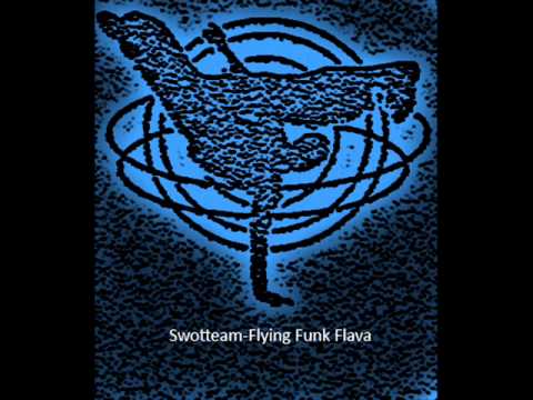 Swotteam-Flying Funk Flava