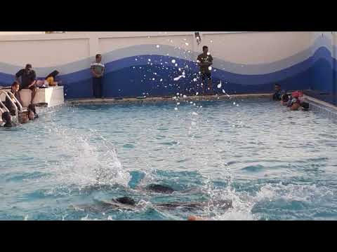 Video ke 5 : sikri cia