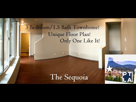 3 bedroom, 1.5 bath Apartment at The Sequoia! (#5)