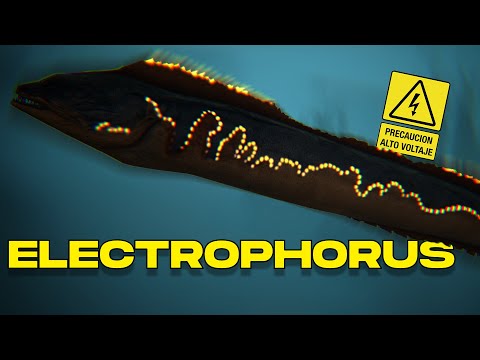 HOW TO TAME AN ELECTROPHORUS & ALL ITS SKILLS (PC, PS & XBOX) - ARK
