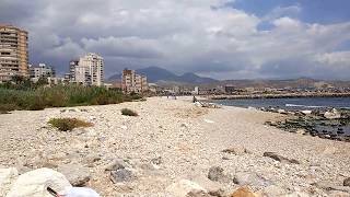 Playa para perros Punta del Riu. El Campello.