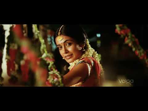 Panjaa Anukoneleduga hd video song