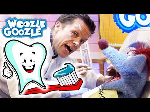 Warum haben wir Zähne? l WOOZLE GOOZLE
