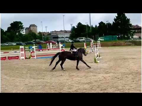 Loui Ln 2ºplace in 6yo class CSN***CJ Chas 2020