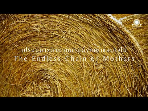 The Endless Chain of Mothers | Tiṇakaṭṭha Sutta, Saṃyutta Nikāya, Division II - Nidāna