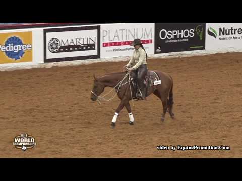 Onetime Hollywood ridden by Sunni Ann McCormick  - 2018 C of C (Ltd. Open Hackamore, FINALS)
