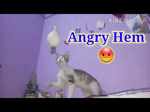 Angry Hem