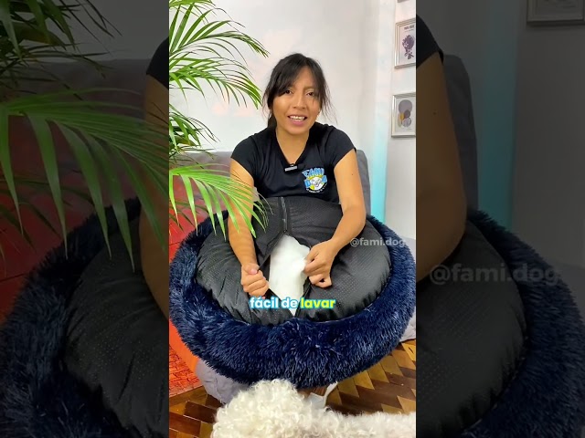 Vídeo relacionado con LUOJINYI Cama para perros, mullida, cojín para perros, redondo, cama para mascotas, donut y gatos, lavable con base antideslizante, para perros grandes, medianos y pequeños, 70 cm, gris claro