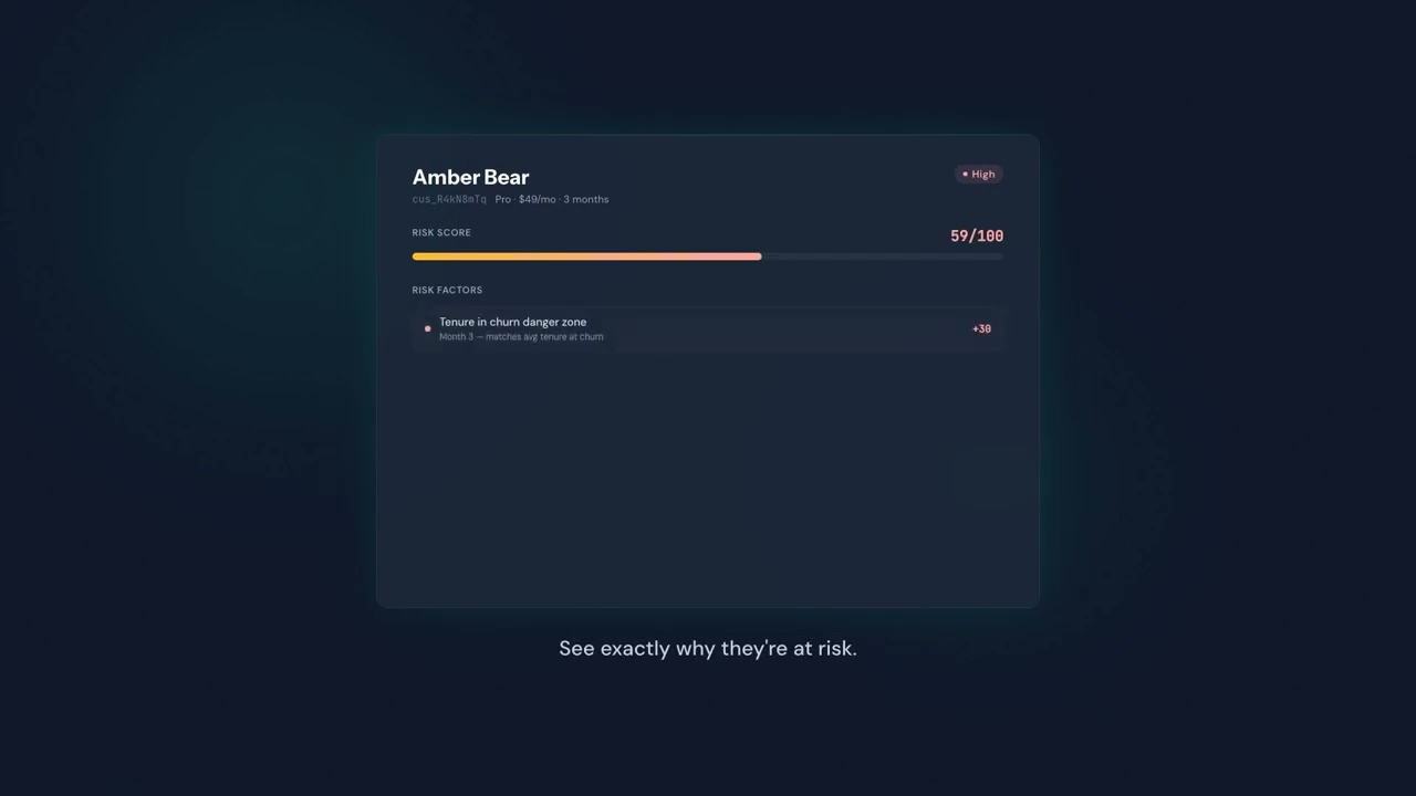 ChurnHalt video preview