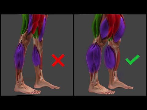 6 Most Effective Leg Exercises for Beginners at Home | Build Huge Chicken Legs Fast