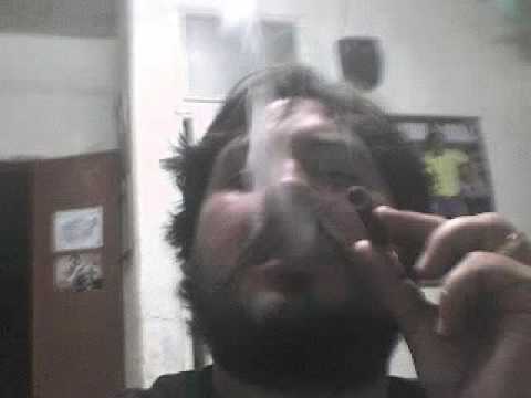 Kamphiones - mas fotos