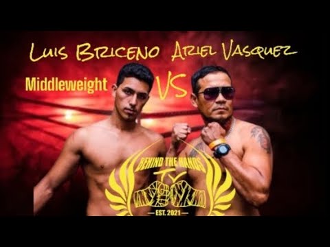 Luis Briceno Roman vs Ariel Vasquez  (Middleweight)