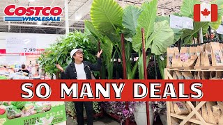SALES Ending Soon at Costco | COSTCO CANADA Shopping