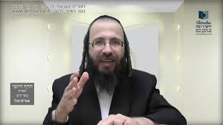 הדף היומי מסכת סוכה דף יז