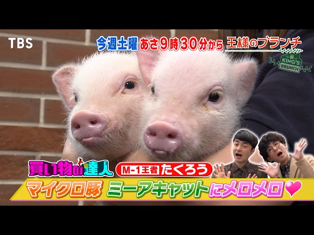 王様のブランチ🈑