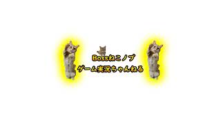 ノブチャンネルBossNeko のライブ配信