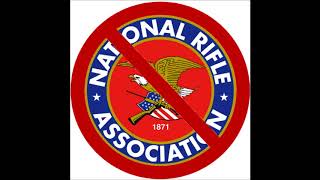 Smash the NRA (Parody of Skrewdriver&#39;s Smash the IRA)