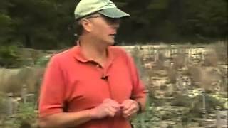 Cape Cod Trip: Large-scale Aquifer Sampling