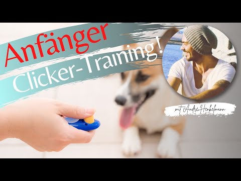 Clickertraining für Anfänger! Profi-Tipps!
