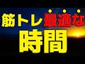 【筋トレ初心者】筋トレの最適な時間帯