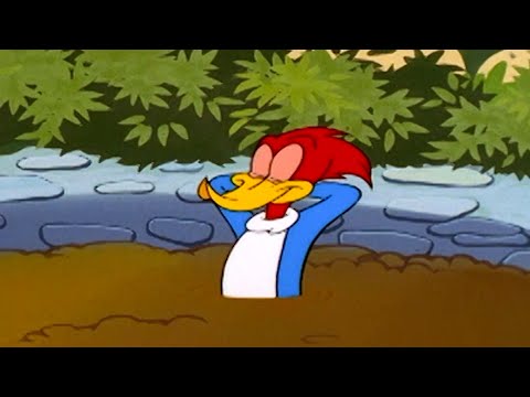 Woody's Spa Day | Woody Woodpecker