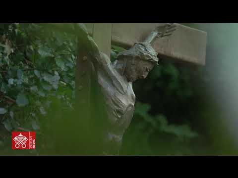 Highlights della Santa Messa per la Custodia della Creazione (Vatican Media)
