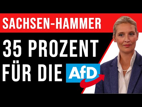 SACHSEN-HAMMER: AfD Bei 35% [Nr. 1 Laut INSA Umfrage]