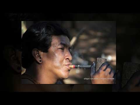 Oreru Nhamandú Tupã Oreru