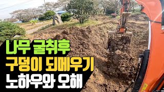 나무 굴취 후 구덩이 되메우기 노하우와 오해 | 나무대장