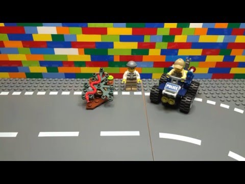 Vidéo LEGO City 60065 : Le 4x4 du policier des marais