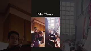 Download lagu 🇯🇵🇮🇹 International Collaboration Elgar – Salut d’Amour 愛の挨拶 mp3 Download lagu 🇯🇵🇮🇹 International Collaboration Elgar – Salut d’Amour 愛の挨拶 mp3
