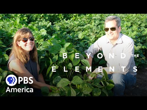 Beyond The Elements - Life (2021) | Full Documentary | NOVA