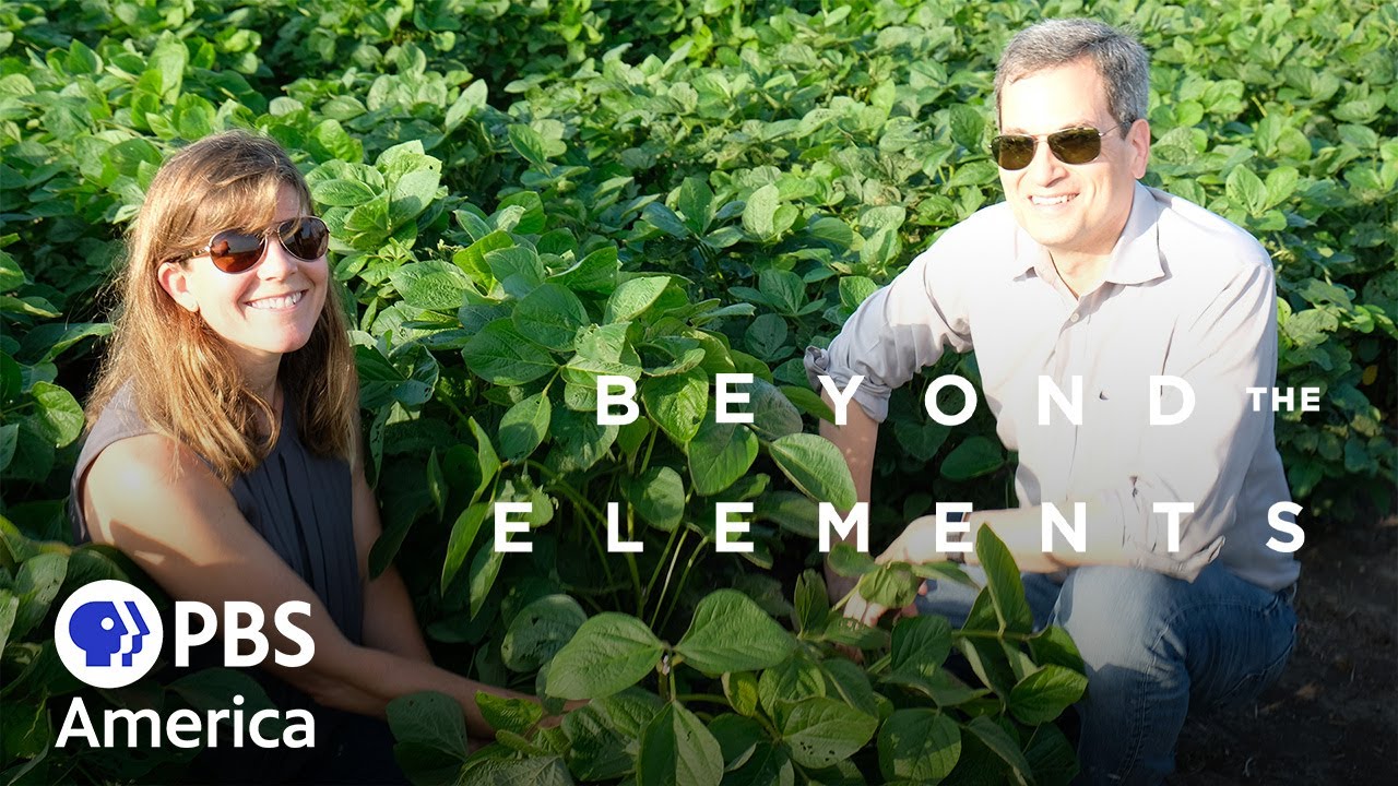 Beyond The Elements - Life (2021) | Full Documentary | NOVA