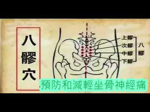 穴位 八廖