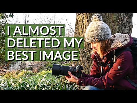 Every Mistake is an Opportunity to Learn | Macro Photography in the Field