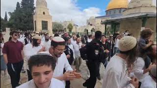 שמחת חג בסוכות בהר הבית בשירה וריקודים שלא נראו אלפיים שנה! (ישיבת הר הבית) - התמונה מוצגת ישירות מתוך אתר האינטרנט יוטיוב. זכויות היוצרים בתמונה שייכות ליוצרה. קישור קרדיט למקור התוכן נמצא בתוך דף הסרטון שמחת חג בסוכות בהר הבית בשירה וריקודים שלא נראו אלפיים שנה! (ישיבת הר הבית) - התמונה מוצגת ישירות מתוך אתר האינטרנט יוטיוב. זכויות היוצרים בתמונה שייכות ליוצרה. קישור קרדיט למקור התוכן נמצא בתוך דף הסרטון