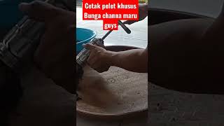 Download lagu NO Rahasia begini cara cetak pelet khusus bunga channa Maru mp3
