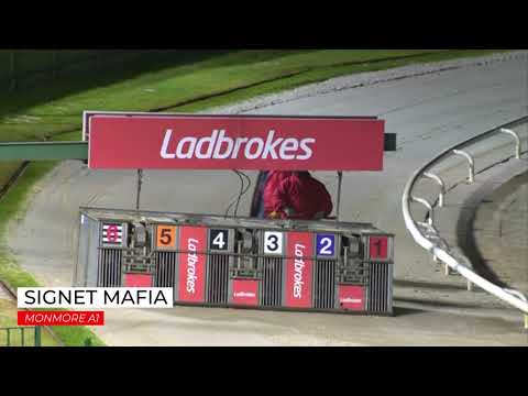 Signet Mafia - 16th January 2021