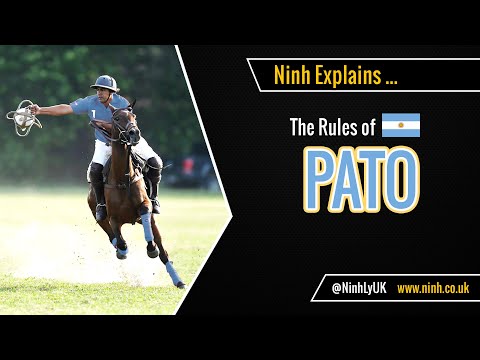 The Rules of Pato (Horseball) - EXPLAINED!