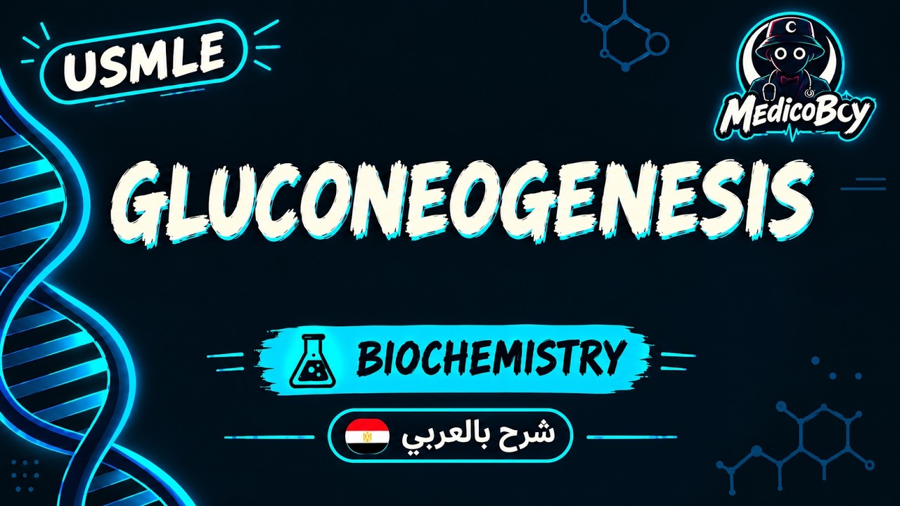 Gluconeogenesis | USMLE Step 1 | شرح بالعربي