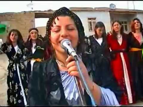 GOWEND KÜRTÇE HALAY HAREKETLİ  - Elif Bîyanî - Êvare
