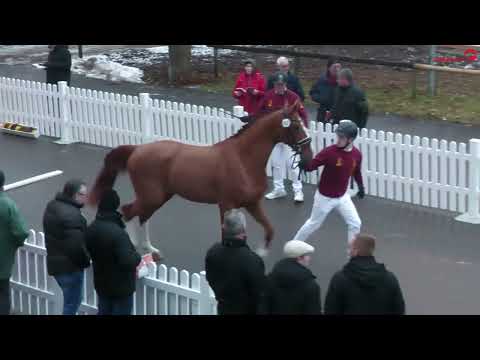 Lot 2 v. Baloutender / Famous Diamant