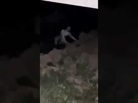 The Rake Creepypasta #shorts