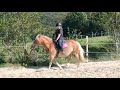 Mein Erstes Reit Video