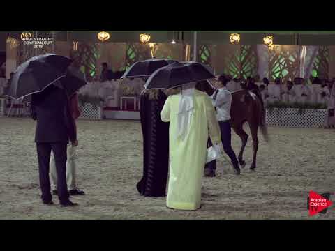 53 NADIRAH AL RASHEDIAH   Gulf SE Cup 2018