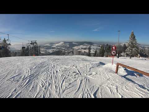 Zwardon Polska 2020 Miki