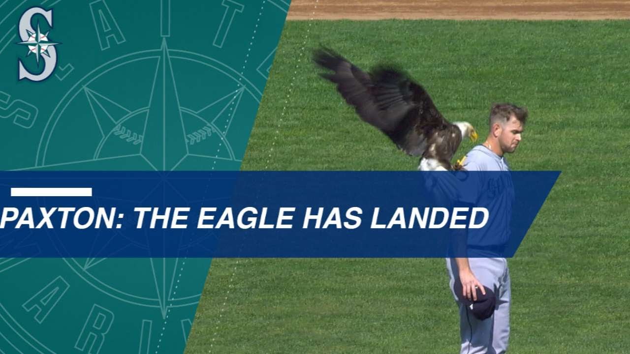 Bald eagle lands on Paxton during anthem thumnail