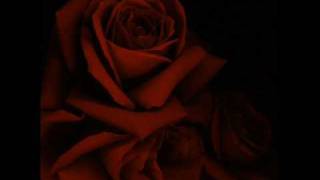 H agaph pou menei - Η αγαπη που μενει