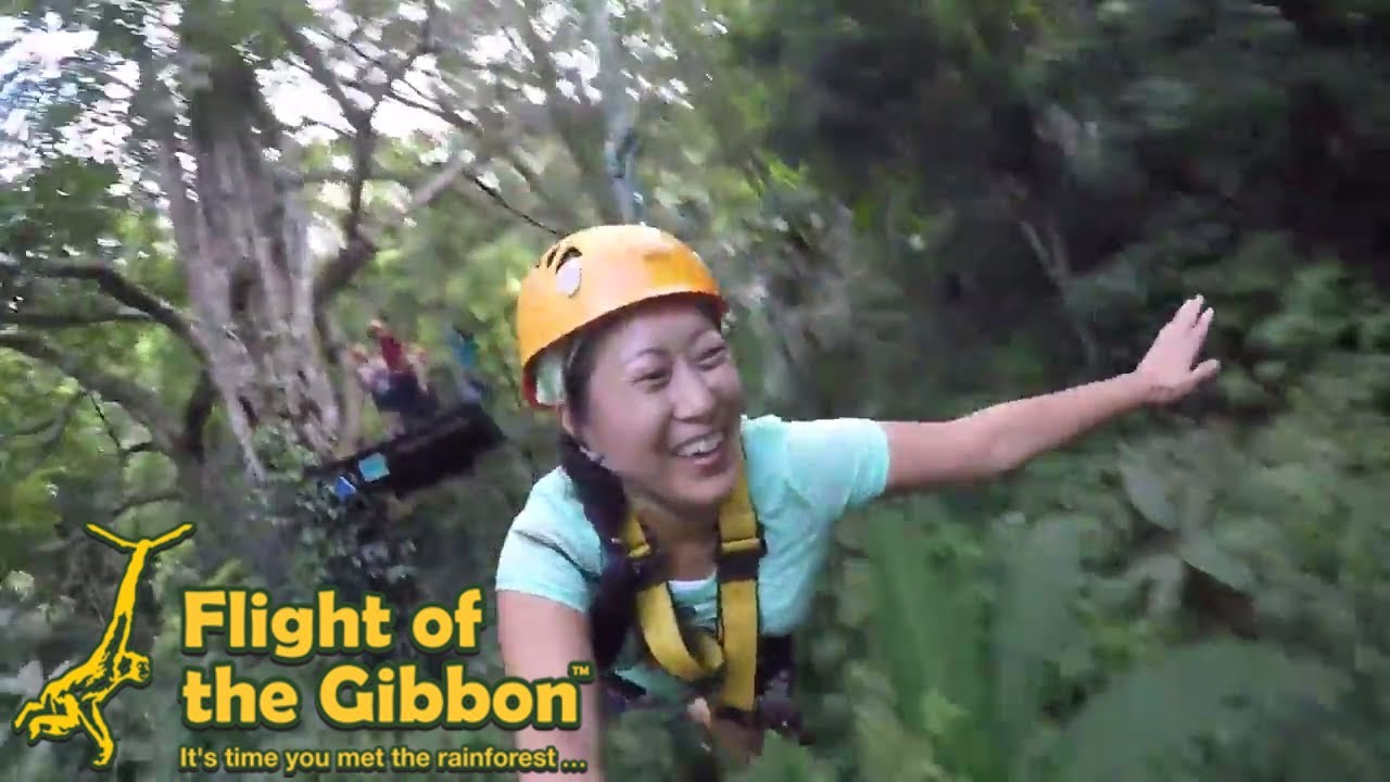 Experience the thrill of ziplining in this exhilarating travel adventure video.