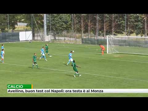 Avellino had a good test against Napoli, but now their focus is on Monza.